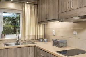 凯里翁狄奥尼修斯别墅公寓的厨房配有木制橱柜、水槽和窗户。