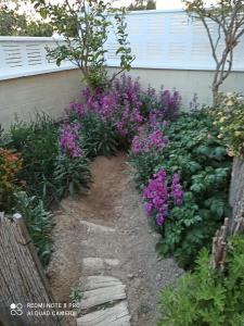 阿尔么丽亚El Rincón de Triana的种有紫色花卉和围栏的花园