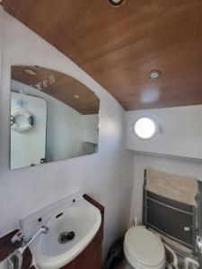不莱梅Holländisches Kajütboot Nixe的一间带水槽、卫生间和镜子的浴室
