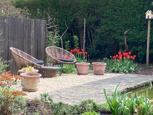 布鲁日Tree & B的花园配有两把椅子和红色郁金香
