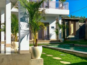 坎古Bali intan Canggu的一座别墅,设有游泳池和棕榈树