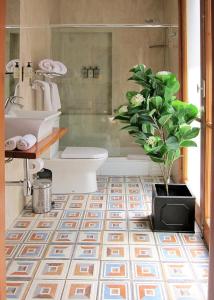 圣地亚哥HOTEL BOUTIQUE CASA NOBLE SPA的一间带卫生间和盆栽的浴室