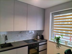 托伦Apartament nr15 z parkingiem podziemnym的厨房配有白色橱柜、水槽和窗户。
