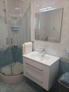 木洛希尼Neda Apartmani的一间带水槽和淋浴的浴室