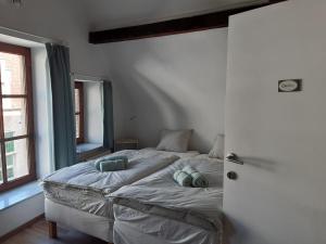 梅赫伦Het Maelslot (Mechelen)的一间卧室配有一张带两个枕头的床