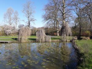 梅赫伦Het Maelslot (Mechelen)的树木繁茂的公园里的一个养着百合花的池塘