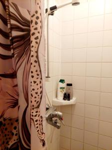 瓦尔考斯Residenssi Tuuli的浴室内配有带豹纹淋浴帘的淋浴