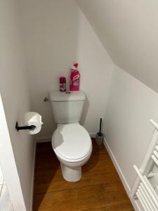 巴涅尔德比戈尔Superbe appartement proche centre ville, thermes的白色的浴室设有卫生间和一卷卫生纸
