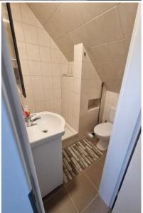 莱尔特Monteur- und Messezimmer Jelinski Arpke的一间带水槽和卫生间的小浴室