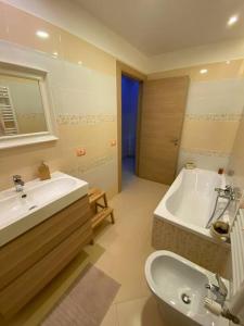 雷卡纳蒂港Appartamento al mare - Porto Recanati的一间带水槽、浴缸和卫生间的浴室