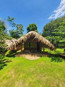 达瓦拉维Hasthi Safari Cottage的草场上茅草屋顶的小小屋