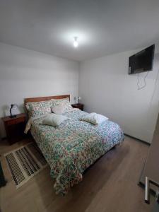阿里卡Hermoso departamento nuevo amoblado的卧室配有一张床,墙上配有电视。