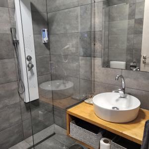 TiszabecsBornemisza Kúria Wellness Resort的一间带水槽和淋浴的浴室