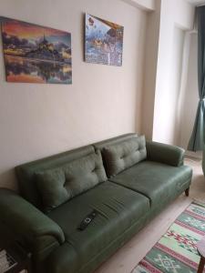 Pazardaily rental apartment 5 minutes to the airport的客厅里绿沙发