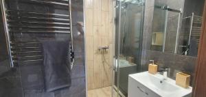 斯托尼拉斯奇Zajazd Stronie的带淋浴、盥洗盆和镜子的浴室