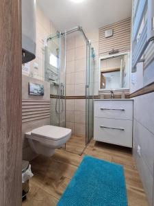 尤斯托尼莫斯基Domki luksusowe Kapitan的一间带卫生间和玻璃淋浴间的浴室