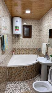 Yukary-UkhumHayat Guesthouse Nuratau Mountains的带浴缸、卫生间和盥洗盆的浴室