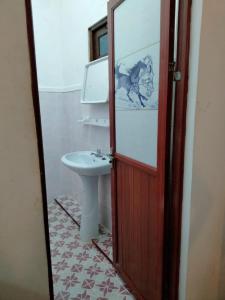 高尔Backpacker Galle Hostel的一间带水槽和镜子的浴室