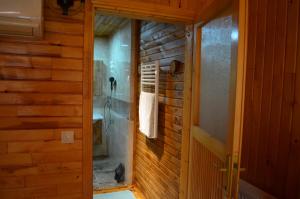 特拉布宗Trabzon green valley villa的带淋浴的浴室和玻璃门