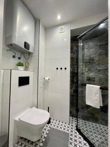 拉多姆Przytulny Apartament niedaleko Radomskiego Centrum Sportu的一间带卫生间和淋浴的浴室