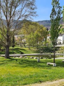 曼泰加什Glaciar Guest House的一座公园,公园里有一个池塘,树木和桥梁