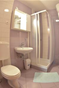 克拉尼斯卡戈拉Apartments Rožič的浴室配有卫生间、盥洗盆和淋浴。