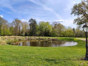 维耶尔宗Charnay Mery , une exceptionnelle maison de vacances au calme côté forêt avec piscine的公园中央的池塘,有街灯