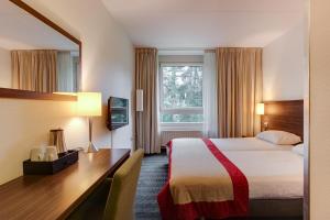 登多尔德恩斯特瑟勒姆霍夫酒店的配有一张床和一张书桌的酒店客房
