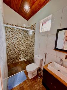 戈亚斯州上帕莱索Chalé Verde morro da baleia.的浴室配有卫生间、淋浴和盥洗盆。