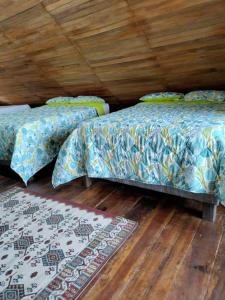 布兰卡滩Hotel Calamari Baru的配有木天花板的客房内的两张床