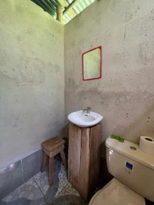 Palmar NorteLa Muñequita Lodge 1 - culture & nature experience的一间带水槽和卫生间的浴室