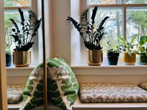 邓韦根荣森客酒店的客房设有带盆栽和镜子的窗户。