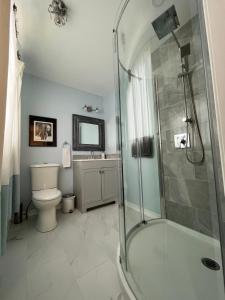 滨湖尼亚加拉Lulu's Bed & Breakfast的带淋浴、卫生间和盥洗盆的浴室