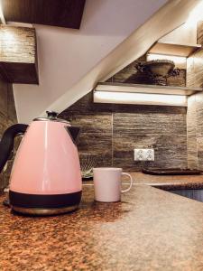 克雷尼察Apartament przy wyciągach,wieża widokowa的厨房里的粉红色器具坐在柜台上