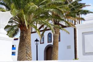 阿格特Casa Notas de Color Y Sal的两棵棕榈树,在一座有街灯的建筑前
