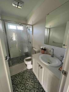 努尔卡巴Hunter Valley D'Vine Stay II的浴室配有卫生间、盥洗盆和淋浴。