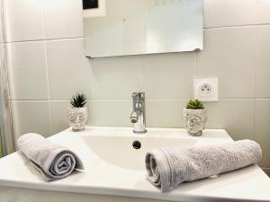 普罗旺斯地区萨隆*Le Sahara*Hyper Centre*Wifi*的浴室水槽配有毛巾和镜子