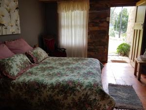 JoubertinaOld Cape Cottage (Duck & DoLittle)的一间带床的卧室,位于带窗户的房间内