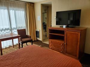 旧金山皇家太平洋汽车旅馆的酒店客房的梳妆台上配有电视