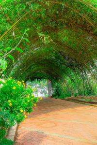 Gia NghĩaPhuong Nam Gia Trang Farmstay的一条有树木和花卉的行人通道的隧道