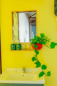 Gia NghĩaPhuong Nam Gia Trang Farmstay的黄色的浴室,配有水槽和植物