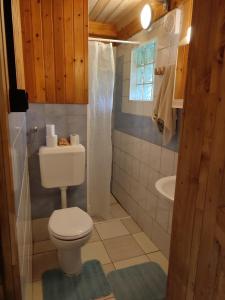 拉多夫吉卡Beehive cabin on a farm的一间带卫生间和淋浴的小浴室