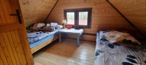 Dzika Chatka Lubówiec 49的小屋内带两张床和一张桌子的房间