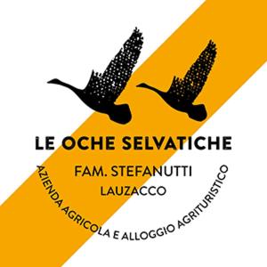 LauzaccoAgriturismo Le oche selvatiche的两只鸟飞过黄色的标志