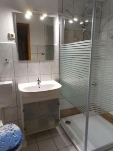 PolchowFerienwohnung Dorn的一间带玻璃淋浴和水槽的浴室