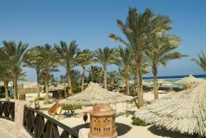 库塞尔古赛尔弗拉门科海滩度假酒店的棕榈树和草伞海滩