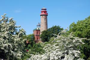 PatzigFerienwohnung Patzig auf Rügen的山顶上树木繁茂的灯塔
