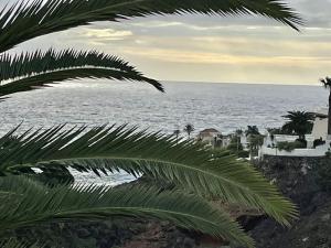 帕莱索海滩Apartamento Dhanvantari en Adeje Paradise的从棕榈树上欣赏海景