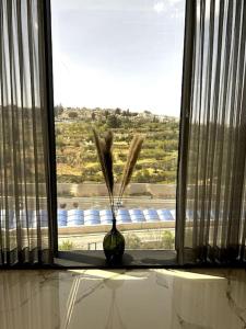 耶路撒冷Stylish and spacious 3BR apartment in the heart of Jerusalem! اهلا وسهلا的窗台上的一个花瓶,窗口景