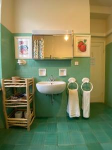 波托菲诺B&B Portofino的一间带水槽和绿色墙壁的浴室